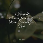 25 Loopable Rain Sounds of Rain Sounds for Spa