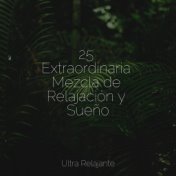 25 Extraordinaria Mezcla de Relajación y Sueño