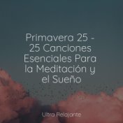 Primavera 25 - 25 Canciones Esenciales Para la Meditación y el Sueño