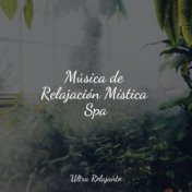 Música de Relajación Mística Spa