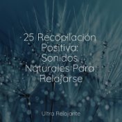 25 Recopilación Positiva: Sonidos Naturales Para Relajarse