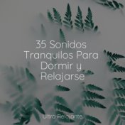 35 Sonidos Tranquilos Para Dormir y Relajarse