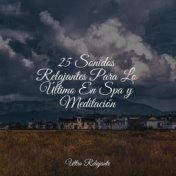 25 Sonidos Relajantes Para Lo Último En Spa y Meditación