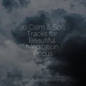 30 Calm & Soft Tracks for Beautiful Meditation Focus