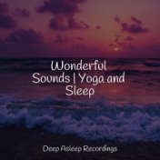 Wonderful Sounds | Yoga and Sleep