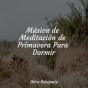 Música de Meditación de Primavera Para Dormir