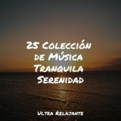 25 Colección de Música Tranquila Serenidad
