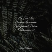 25 Sonidos Profundamente Relajantes Para Vibraciones