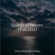Sounds of Nature | Fall 2021