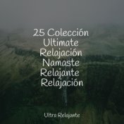 25 Colección Ultimate Relajación Namaste Relajante Relajación