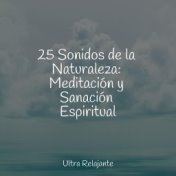 25 Sonidos de la Naturaleza: Meditación y Sanación Espiritual