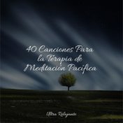 40 Canciones Para la Terapia de Meditación Pacífica