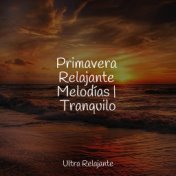 Primavera Relajante Melodías | Tranquilo