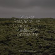 Música Relajante : 25 Canciones de Meditación Ambiental