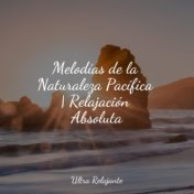 Melodías de la Naturaleza Pacífica | Relajación Absoluta