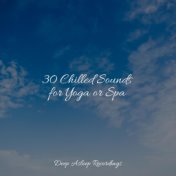 30 Chilled Sounds for Yoga or Spa