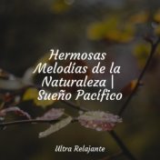 Hermosas Melodías de la Naturaleza | Sueño Pacífico