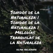 Sonidos de la Naturaleza | Sonidos de la Naturaleza | Melodías Tranquilas de la Naturaleza