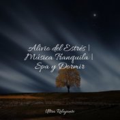 Alivio del Estrés | Música Tranquila | Spa y Dormir