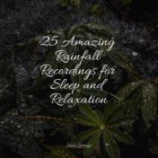25 Amazing Rainfall Recordings for Sleep and Relaxation