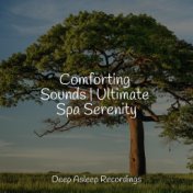 Comforting Sounds | Ultimate Spa Serenity