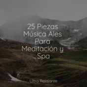 25 Piezas Música Ales Para Meditación y Spa