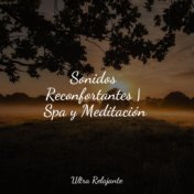 Sonidos Reconfortantes | Spa y Meditación