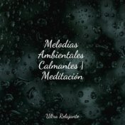 Melodías Ambientales Calmantes | Meditación