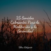 25 Sonidos Calmantes Para la Meditación y la Serenidad