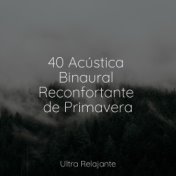 40 Acústica Binaural Reconfortante de Primavera