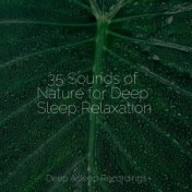 35 Sounds of Nature for Deep Sleep Relaxation