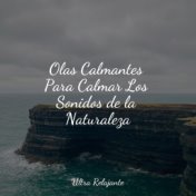 Olas Calmantes Para Calmar Los Sonidos de la Naturaleza