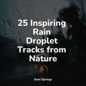 25 Inspiring Rain Droplet Tracks from Nature