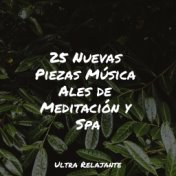 25 Nuevas Piezas Música Ales de Meditación y Spa