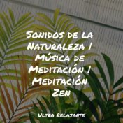 Sonidos de la Naturaleza | Música de Meditación | Meditación Zen