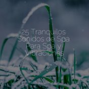 25 Tranquilos Sonidos de Spa Para Spa y Vibraciones