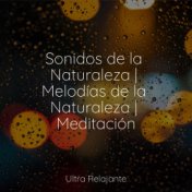 Sonidos de la Naturaleza | Melodías de la Naturaleza | Meditación