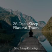 25 Deep Sleep Binaural Tones