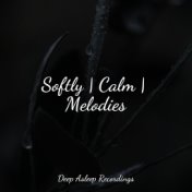 Softly | Calm | Melodies