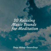 30 Relaxing Music Sounds for Meditation