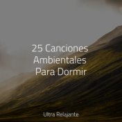 25 Canciones Ambientales Para Dormir