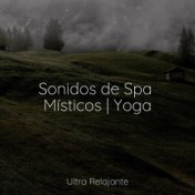 Sonidos de Spa Místicos | Yoga