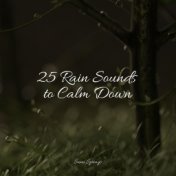 25 Rain Sounds to Calm Down