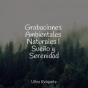 Grabaciones Ambientales Naturales | Sueño y Serenidad