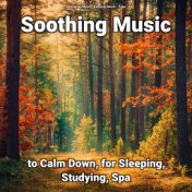 Soothing Music to Calm Down, for Sleeping, Studying, Spa