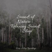 Sounds of Nature | Relaxing Sounds | Sleep