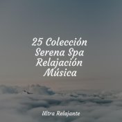25 Colección Serena Spa Relajación Música