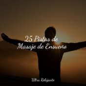 25 Pistas de Masaje de Ensueño