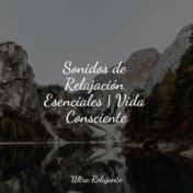 Sonidos de Relajación Esenciales | Vida Consciente