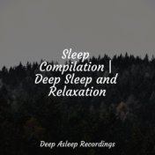 Sleep Compilation | Deep Sleep and Relaxation